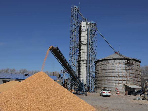 燒煤改燒秸稈大包直燃熱風爐，烘干成本省一半