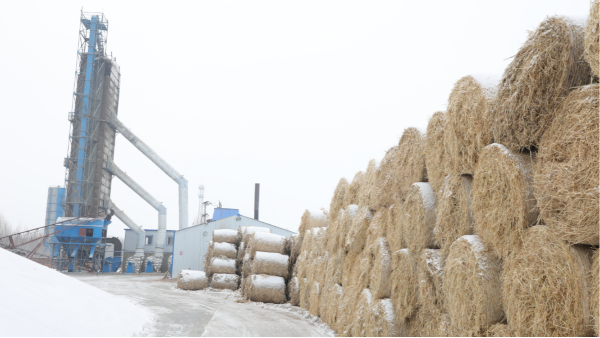 煤炭價格高，烘糧利潤低，吉林大安市500噸糧食烘干塔改用秸稈大包直燃鍋爐，每天省3萬